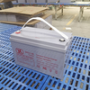 Batería de gel de 12V 100A de mantenimiento de alta calidad - AGM recargable de ciclo profundo para aplicaciones de energía solar, energía eólica, respaldo y movilidad 