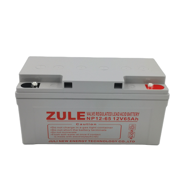 La capacidad total 12V65Ah sube la batería solar de la batería
